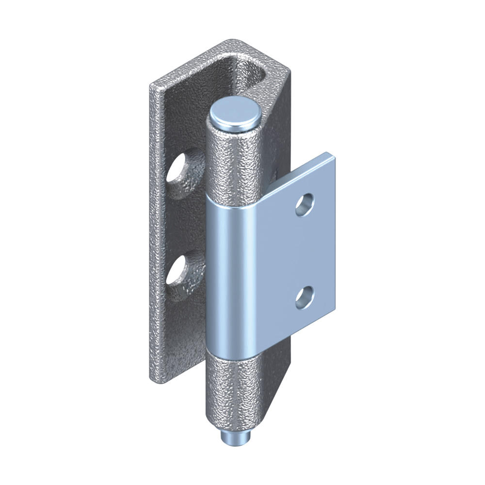 Zinc Alloy Rittal Cabinet Concealed Hinge