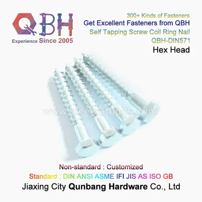 DIN571 Hex Hexagon Slotted Head Coarse Thread Drywall Wood Self Tapping Drilling