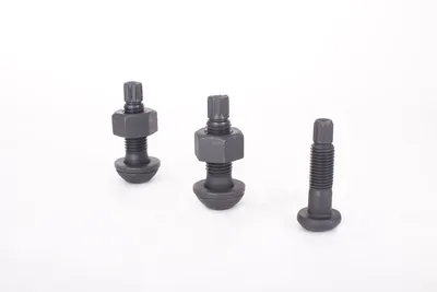 Gr10.9 Tension Control Bolts Alloy Steel Torsional Shear-High-Strength Bolts