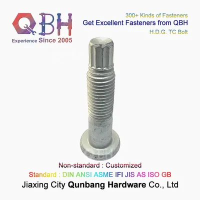 HDG High Strength Heavy Steel Structural Shear Tension Control Tc Bolt Building Construction Components