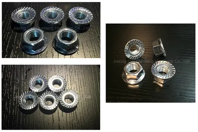 Hex Flange Nuts (Zinc Plated Cl. 2/5 ANSI B18.2.4.4m)