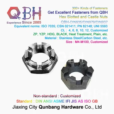 Hex Slotted and Castle Nuts (M6-M68 DIN979)