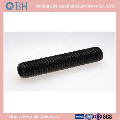 Hex Socket Set Screws (Flat Point DIN913 M1.4-M24 Black)