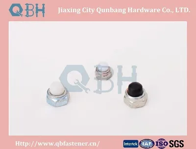 Hexagon Domed Cap Nuts Cl. 6/8/10 M4-M20