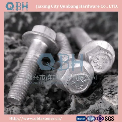 Hexagon Head Flange Bolts (DIN6921, H. D. G.)