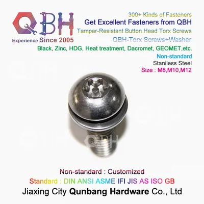 OEM Stainless Steel SS304 SS316 Torx Button Head Tamper-Resistant Machine Screw + Flat Plain Washer Assembly Fastener