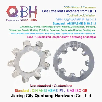Qbh ANSI/ASME B 18.21.1 Serrated Lock Gaskets Washers External Internal Teeth