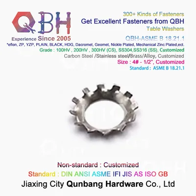 Qbh ASME B 18.21.1 Carbon Steel Stainless Steel Toothed Serrated Tab Washer