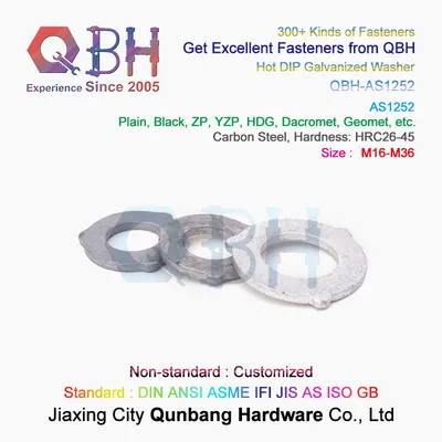 Qbh Customized As1252 Carbon Steel Hot DIP Galvanized HDG M16-M36 Flat Round Special Washer