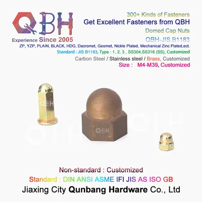Qbh Customized Carbon Stainless Steel Alloy Brass Copper Cap Domed Cover Acorn Axle Nut