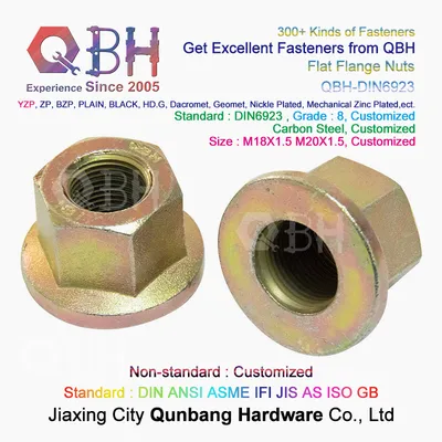 Qbh Customized Carbon Steel/Stainless Steel Non-Serrated/Serrated Flange Disc Nut