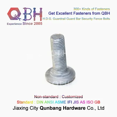 Qbh Customized M5-M30 HDG H. D. G. Hot DIP Galvanizing High Road Guardrail Bolts