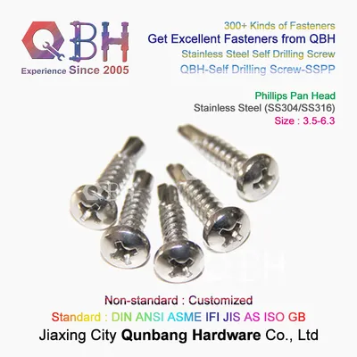 Qbh Customized Plain Phillips Cross Recessed Pan Head SS304 SS316 Stainless Steel Roof Roofing /Metal Plate Self Drilling Screw Fastener