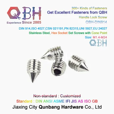 Qbh Customized Ss/SUS 304 / 316 DIN916/DIN914 Stainless Steel Hexagon Socket Grub Screw