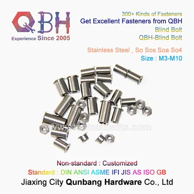 Qbh Customized Stainless Steel SS304 SS316 Self Clinching M3-M10 Self-Clinching Socket Thru-Hole Hollow OEM ODM Blind Thread Threaded Insert Nut