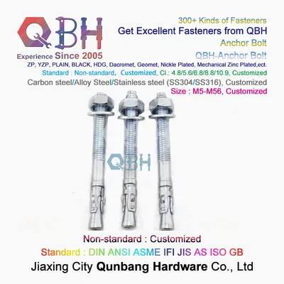 Qbh Customized Wedge Anchor Galvanized 12X100
