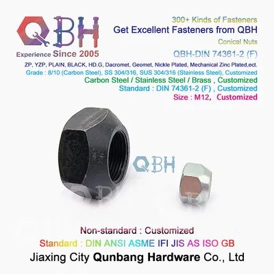 Qbh DIN 74361-2 (F) DIN74361-2 (F) DIN 74361-2 F Zp/Yzp/Bzp/Plain/Black/HDG/PTFE/Dacr*Met/Ge*Met/Nickle Plated Prevailing Torque Type Wheel Hub Nut Auto Part
