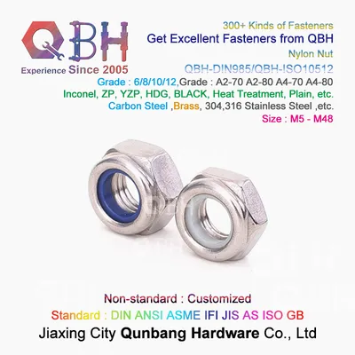 Qbh DIN 985 M5-M48 Stainless Steel S. S. /Ss/SUS 304/316 SS304/SS316 SUS304/SUS316 DIN985 Nylon Prevailing Torque Hex Hexagon Hexagonal Locknuts