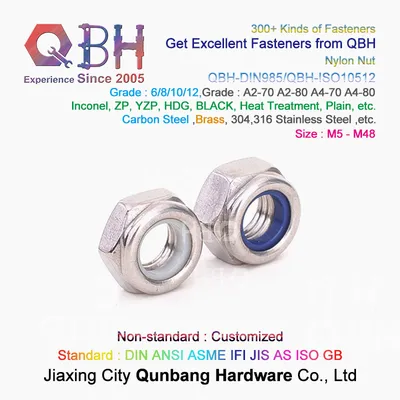 Qbh DIN 985 M5-M48 Stainless Steel S. S. /Ss/SUS 304/316 SS304/SS316 SUS304/SUS316 DIN985 Nylon Prevailing Torque Hex Lock Nuts