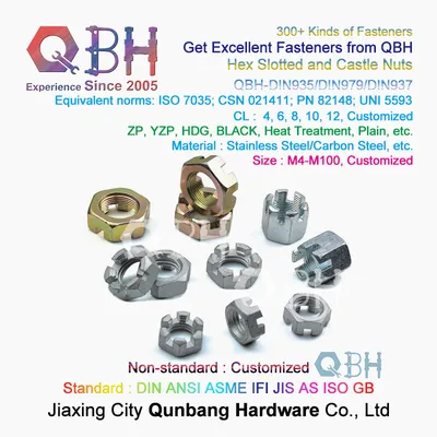 Qbh DIN935/DIN979/DIN937 M4-M100 Thin/Thick Hex Slotting Castle Axle Nut Trailer Accessories