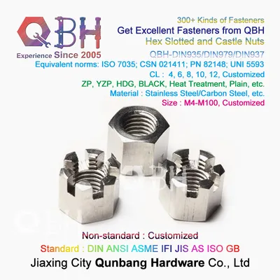 Qbh DIN935/DIN979/DIN937 Stainless Steel SS304 SS316 Thin / Thick Hexagon Axle Castle Nut Hex Slotted Nuts