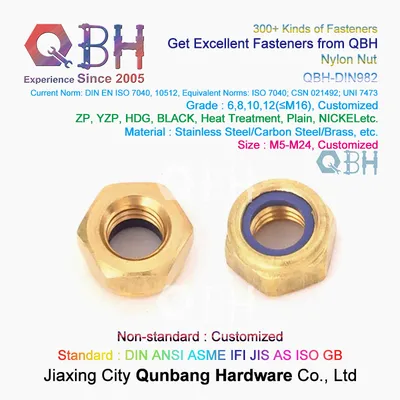 Qbh DIN982 DIN 982 M5-M24 Copper Brass Nylon Non-Metallic Insert Prevailing Torque Self-Locking Hex Thick Locknuts