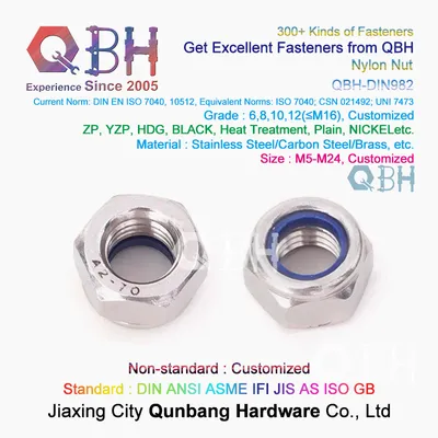 Qbh DIN982 DIN 982 Stainless Steel S. S. /Ss/SUS 304/316 SS304/SS316 SUS304/SUS316 Non-Metallic Nylon Insert Prevailing Torque Hex Hexagon Hexagonal Locknuts