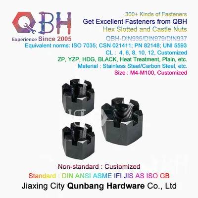 Qbh Hexagon Slotted and Castle Nuts (DIN935)
