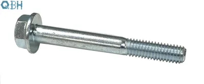 Qbh JIS B 1189 Carbon Steel Hexagon Bolt with Flange Collar