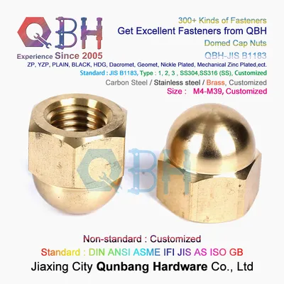 Qbh Japan Standard JIS B1183 Domed Cap Nuts Type 1 Type 2 Type3 for 4t 5t 6t Carbon Steel Zp Yzp Zinc Nickel Alloys 304 316