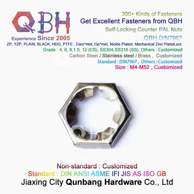 Qbh M4-M52 Ss 304 316 Plain Stainless Steel DIN7967 Self Lock Locked Counter PAL Nuts