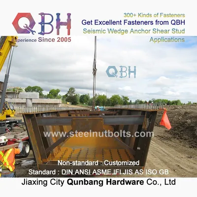 Qbh OEM ODM Steel Structure Seismic Wedge Anchor Shear Stud Bolt Boat Ship Shipyard Marine Fastener Hardware