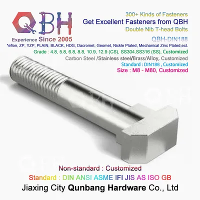 Qbh SS304 SS316 4.8, 5.8, 6.8, 8.8, 10.9, 12.9 M8-M80 Double Nib Tee T Profile Slot T-Profile Bolt