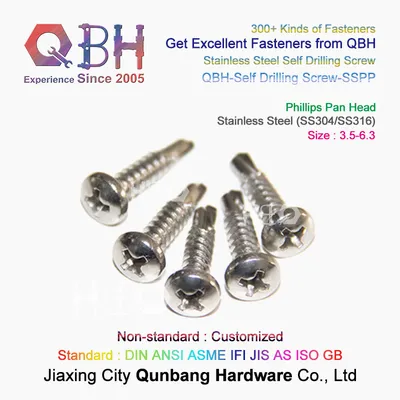 Qbh SS304 SS316 Recessed Cross Slotting Head Self Drilling Stainless Steel Pan Philips Screw