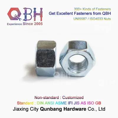 Qbh Uni 5587 / ISO 4033 White Blue Zinc-Plated Zinc Plating Class 6/8/10 M3-M80 Carbon Steel Hexagonal Hexagon Hex Nuts