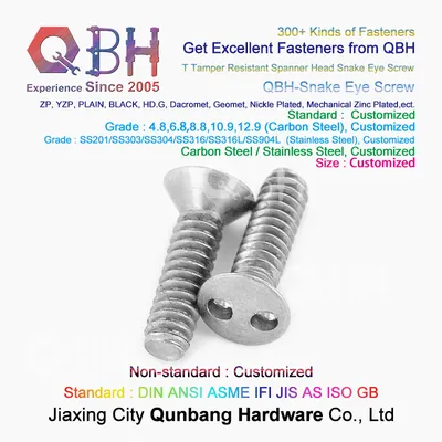 Stainless Steel Anti-Theft Snake Eye Flat Head Solar Panel Screws