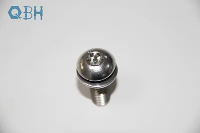 Stainless Steel High Quality Pan Head Torx Screw for Anti-Theft